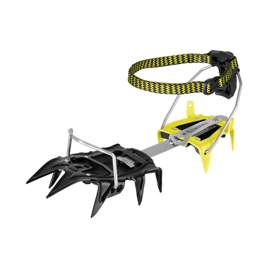 Raki SALEWA ALPINIST PRO